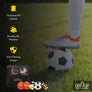 Complete Sports Ball Set w/ Carrying Bag - Soccer, Football, Basketball, Volleyball, Dodgeball, and Pump - Easy Play Sports and Outdoors